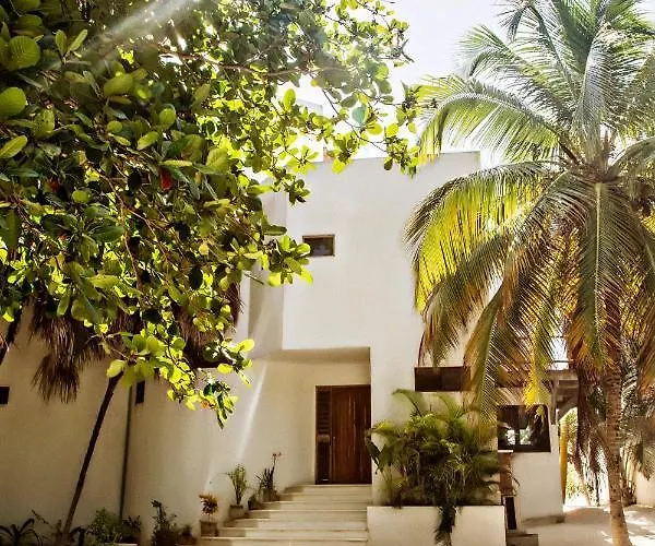 Casa Carolina