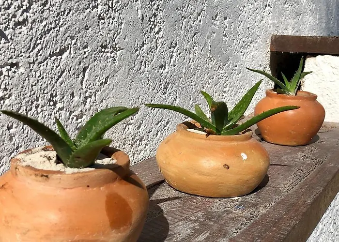 Casa Carolina *